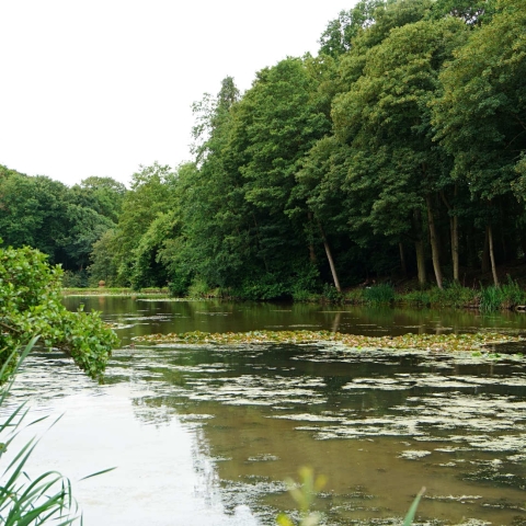 Plumpton rocks Harrogate