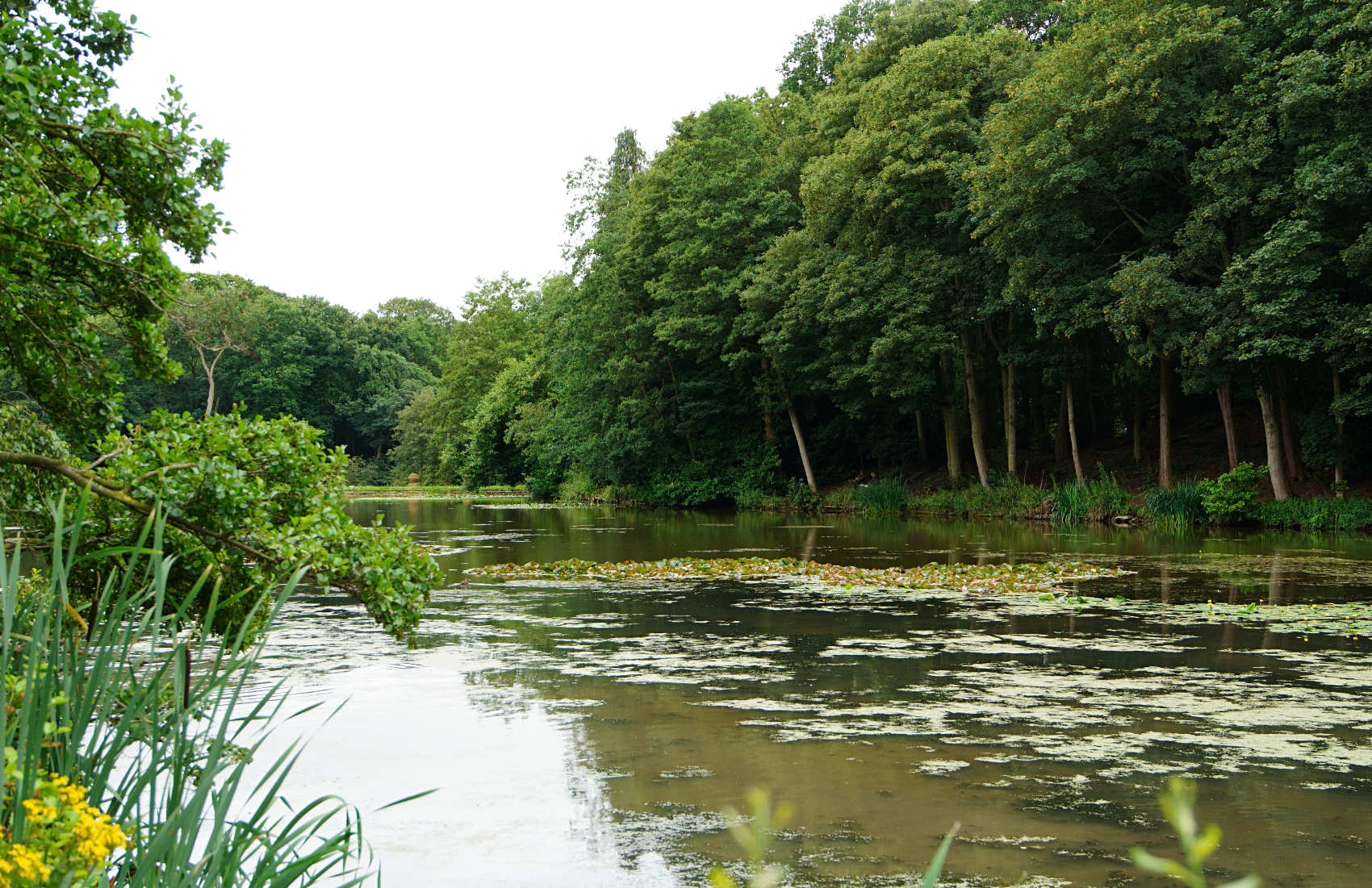 Plumpton rocks Harrogate