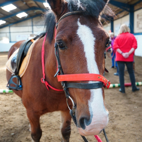 RDA Harrogate