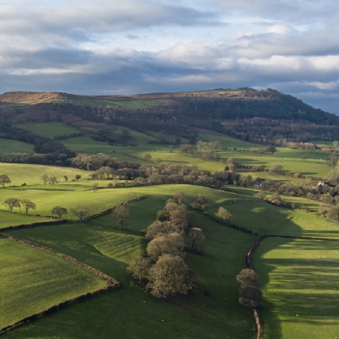 View from Swainby, near Stokesley.