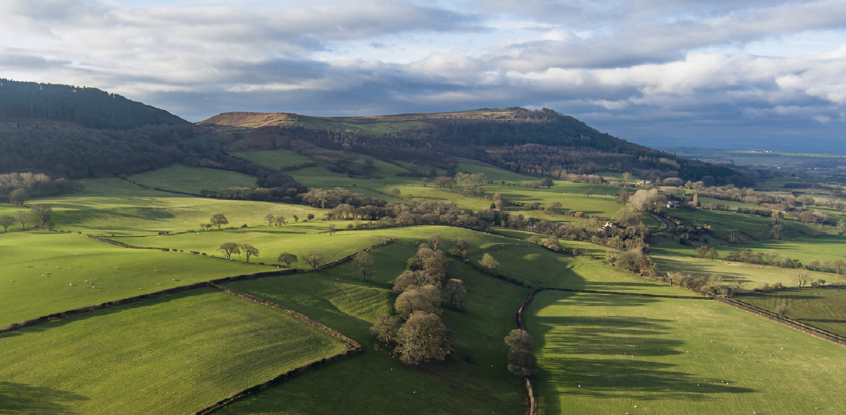 View from Swainby, near Stokesley.