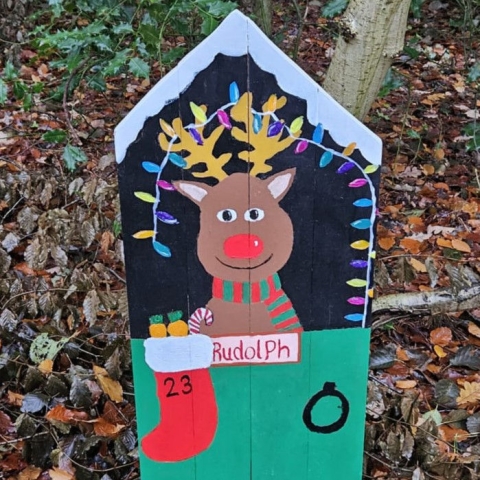 elf pinewoods