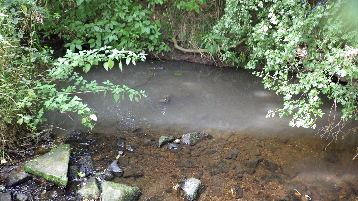 Hookstone Beck pollution