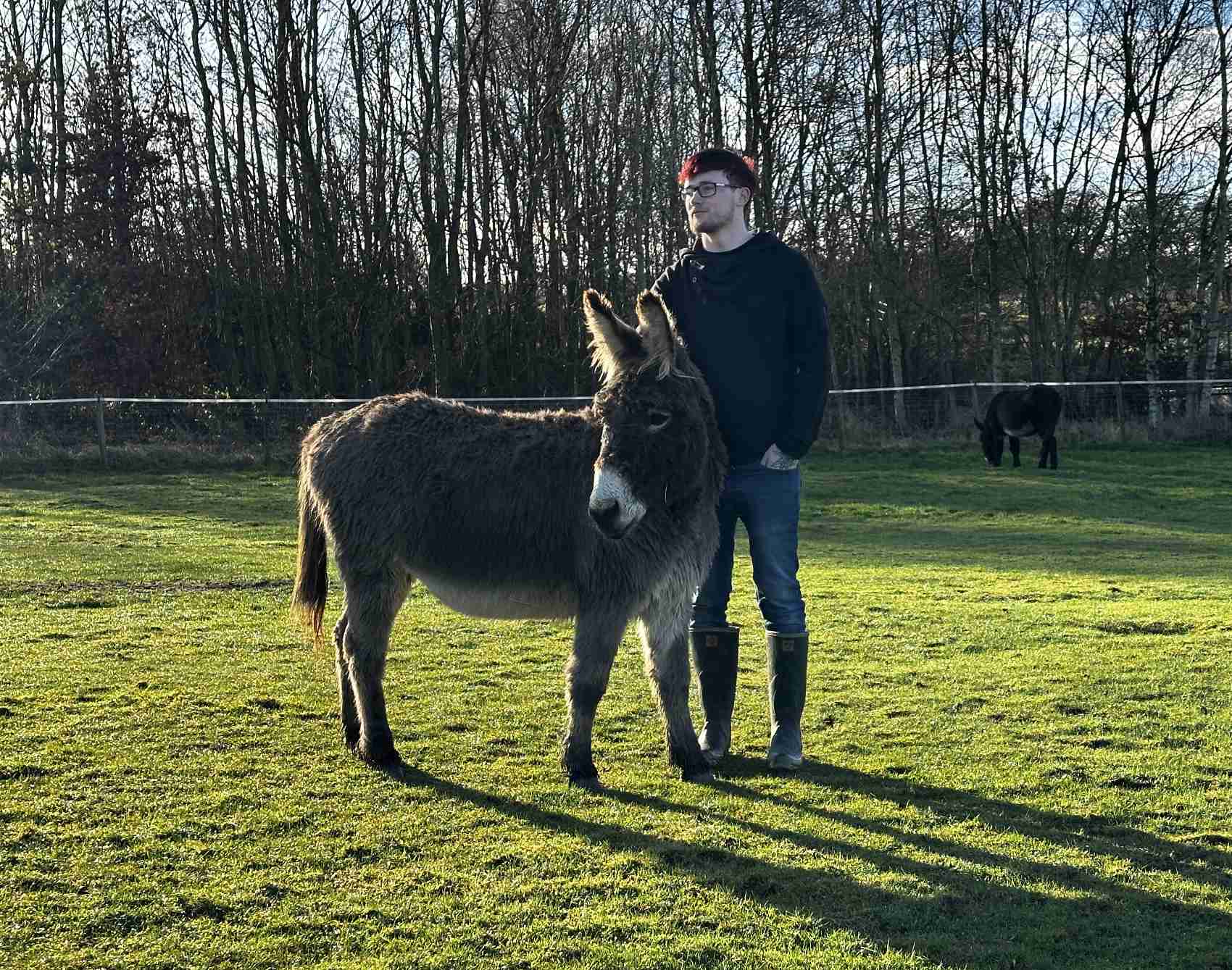 Kaiden with donkey Dominic at The Donkey Sanctuary Leeds