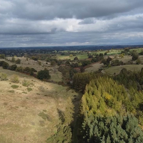 Swinton Park Estate