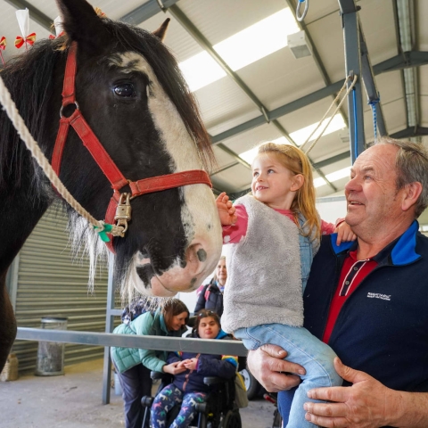 Gracie and Richard Bedford meet the Shire horses at Springtime Live.