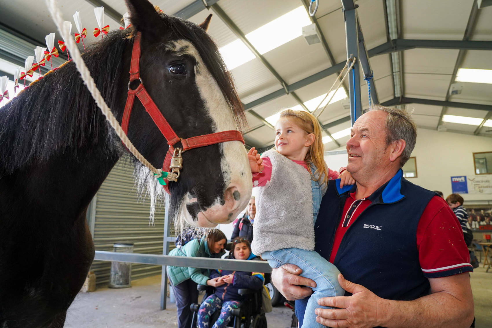 Gracie and Richard Bedford meet the Shire horses at Springtime Live.