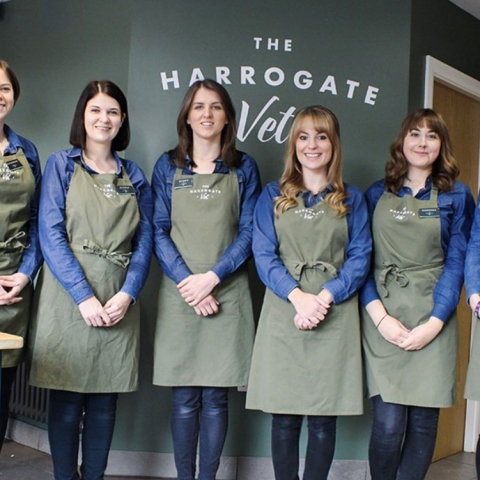 The Harrogate Vet