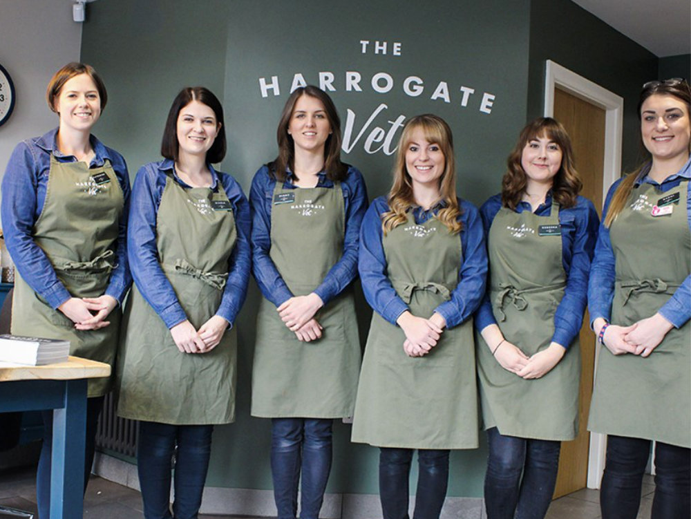 The Harrogate Vet