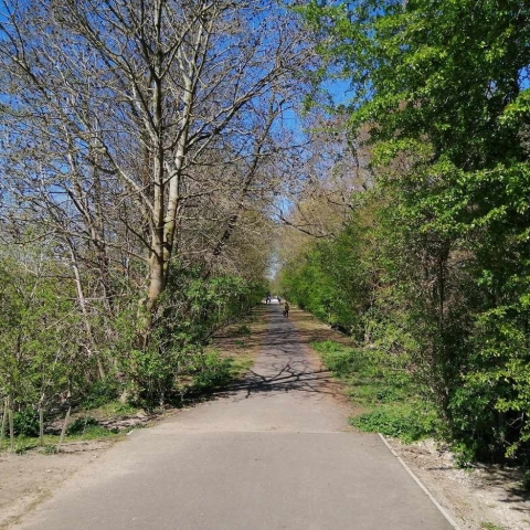 Wetherby Path access improvements