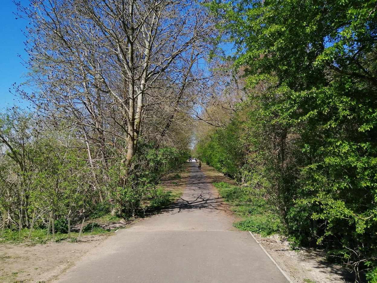 Wetherby Path access improvements