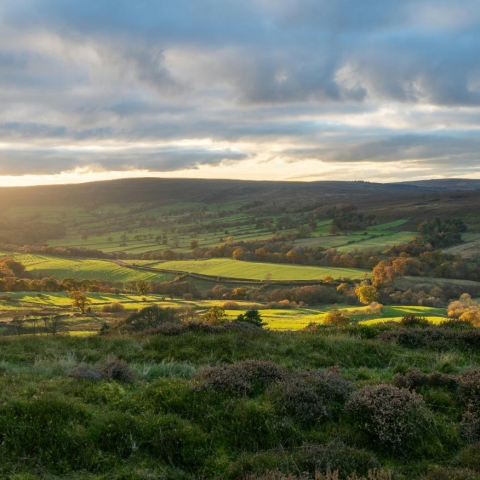 yorkshire dales