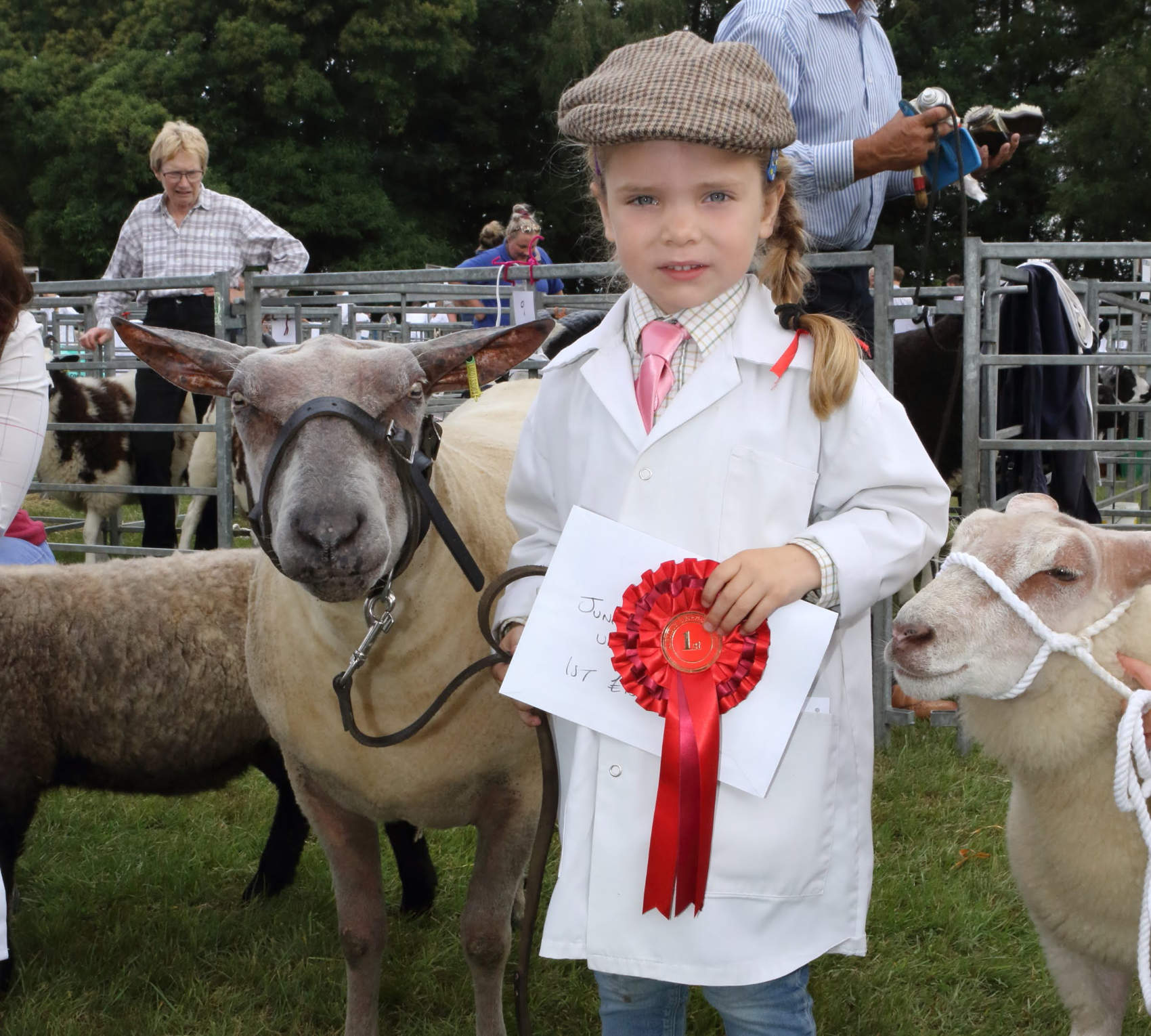 Aldborough and Boroughbridge Show Returns to Newby Hall