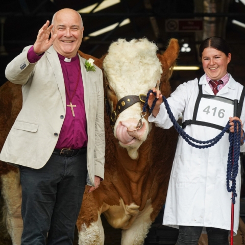 of York Stephen Cottrell blesses a Simmental - Fircovert Nigel, with its handler Holly Lutkin from Norwich at the Great Yorkshire Show_Wed
