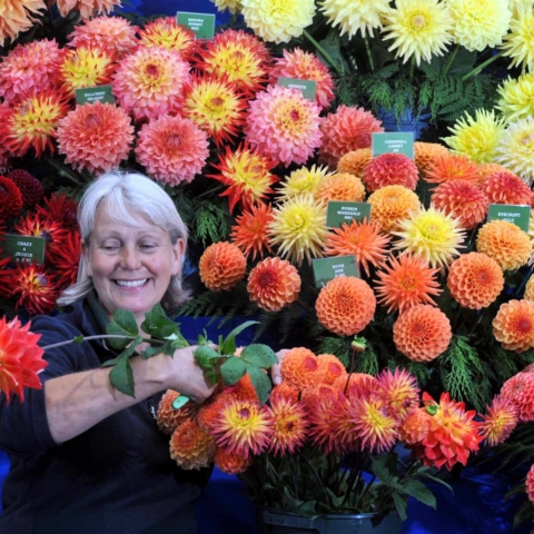 Harogate autumn flower show