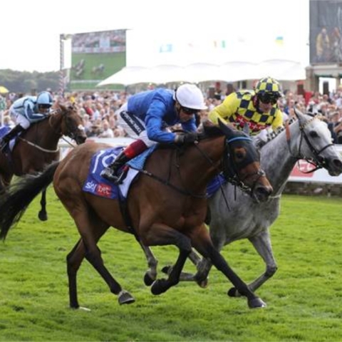 Sky Bet Ebor Festival Community Sweepstake