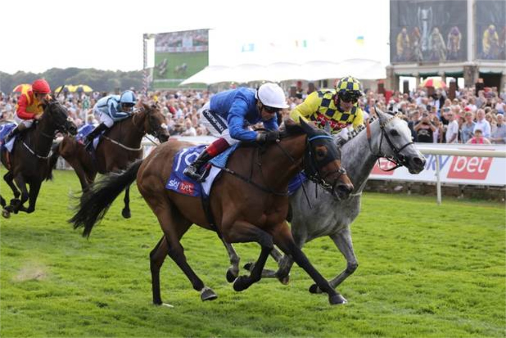 Sky Bet Ebor Festival Community Sweepstake