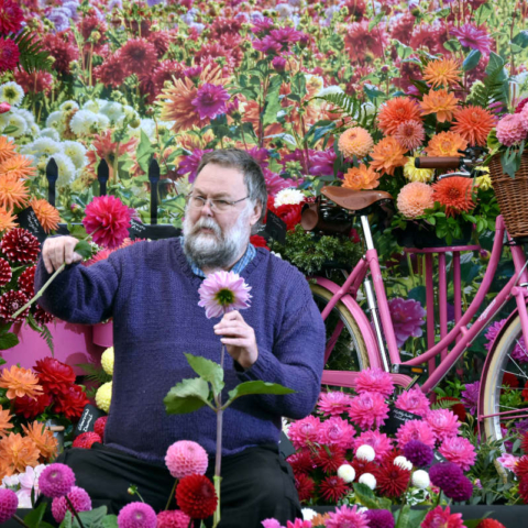 Ian Ledger of the National Dahlia Society which is exhibiting at the Harrogate Autumn Flower Show at Newby Hall near RIpon