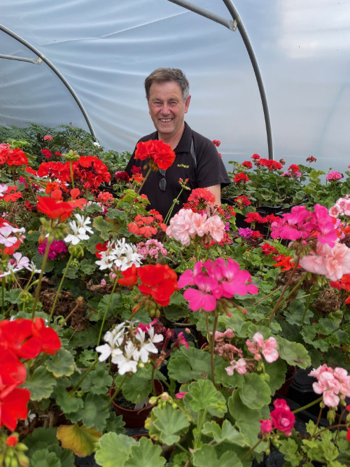 Roger Burnett of the Yorkshire Pelargonium and Geranium Society which is exhibiting at the Harrogate Autumn Flower Show