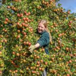 Jam packed celebration closes Newby's hall season