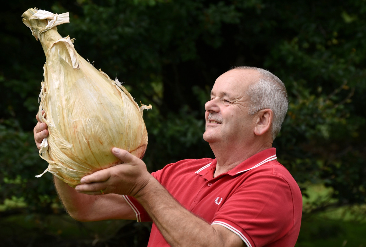 The National Onion Championships saw Stephen Purvis of Murton, Co Durham triumph with the heaviest trio of onions (22.565 kilograms/49.747lbs) and single onion (8.8 kilograms/19.401lbs)