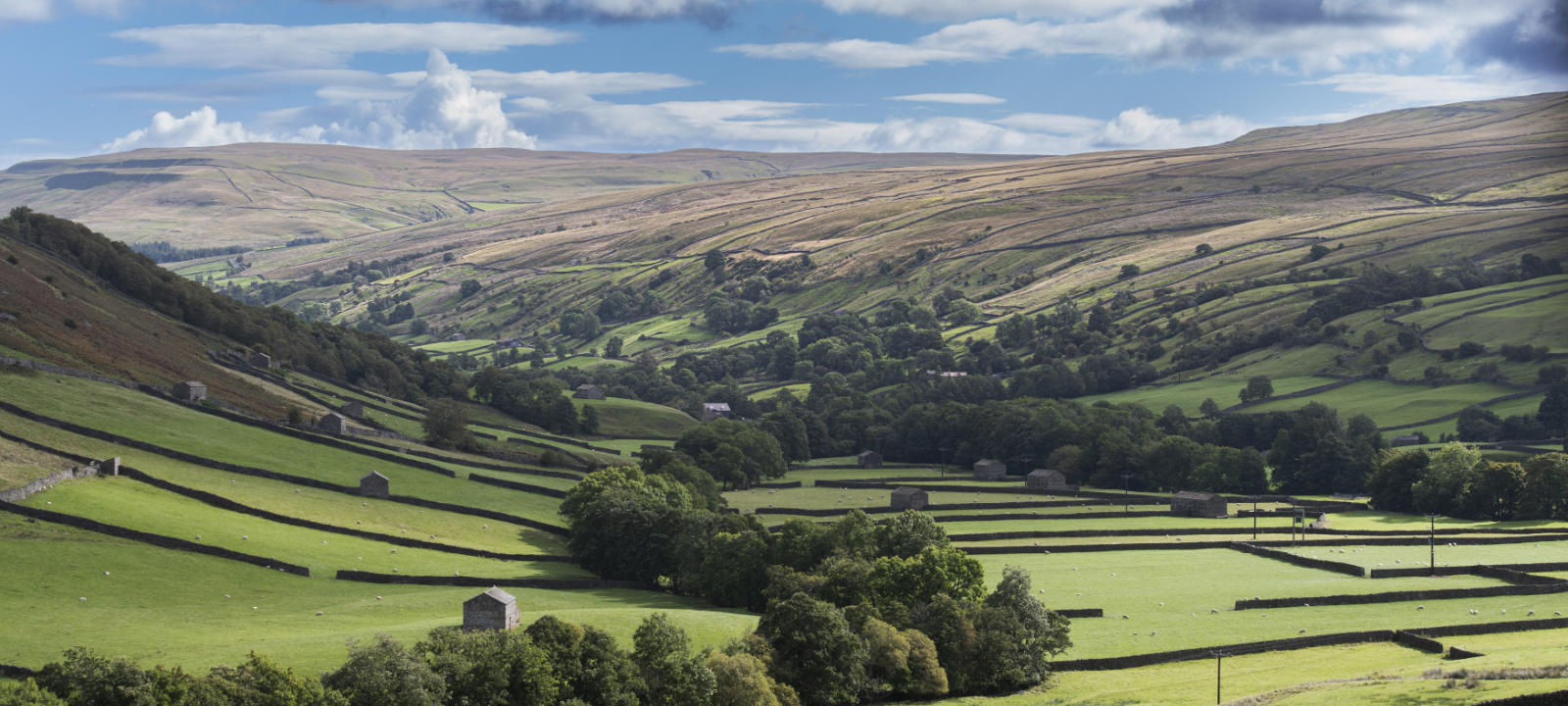 A scenic shot of Swaledale. North Yorkshire is home to two National Parks covering the Yorkshire Dales and the North York Moors, which attract visitors from across the world