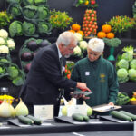 Seasonal produce will be judged across scores of classes in the Incredible Edible pavilion at this year's Harrogate Autumn Flower Show at Newby Hall, Ripon