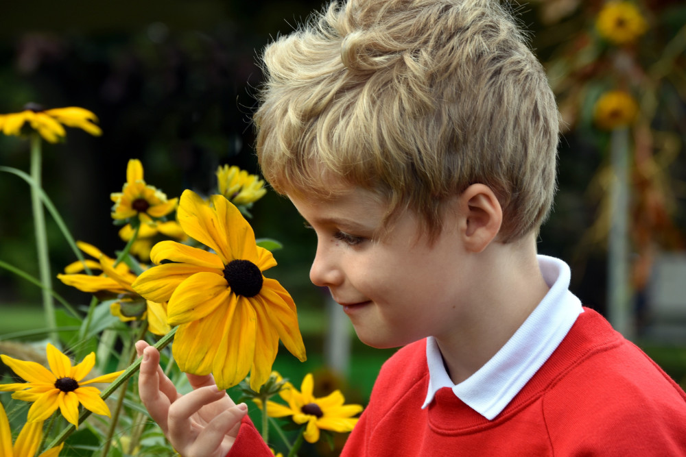 Starbeck Primary Academy