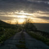 Photo by Andy Carne on Unsplash