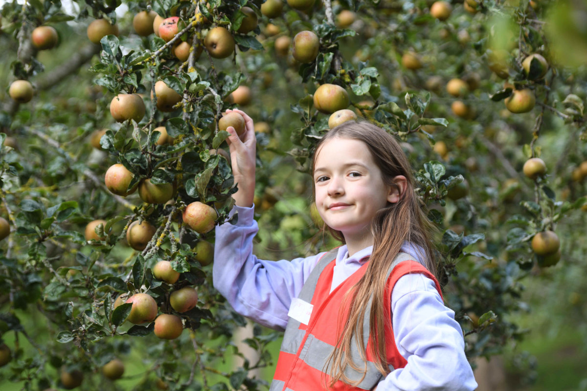 Emily, from Hipperholme Grammar School visiting the orchard at the Great Yorkshire Showground