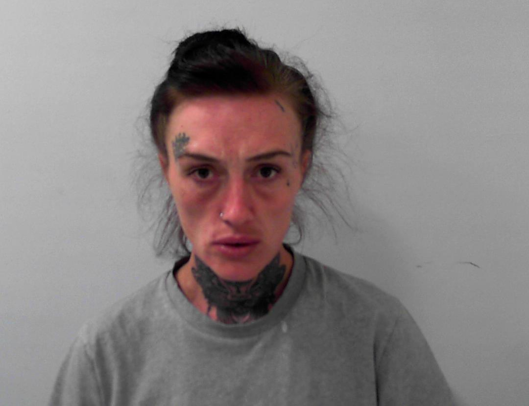 Stacey Hinks, of no fixed address, intentionally started the fire at the address on Springfield Grove during the evening of 15 May 2025 before calling her ex-partner to tell him his home was on fire.