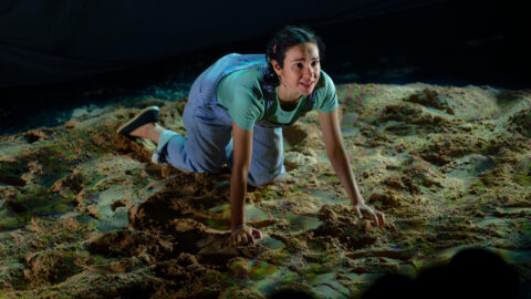 A Grain of Sand (c) Alan Blundell