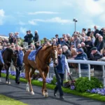 york races