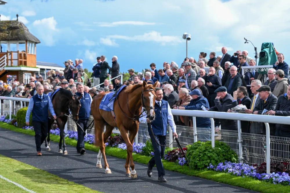 york races