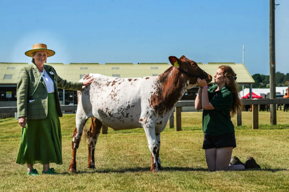 Show Director Rachel Coates meets dairy Young Handler 18 year old Georgia Bowman with her Dairy Shorthorn Parkhouse Foggathorpe