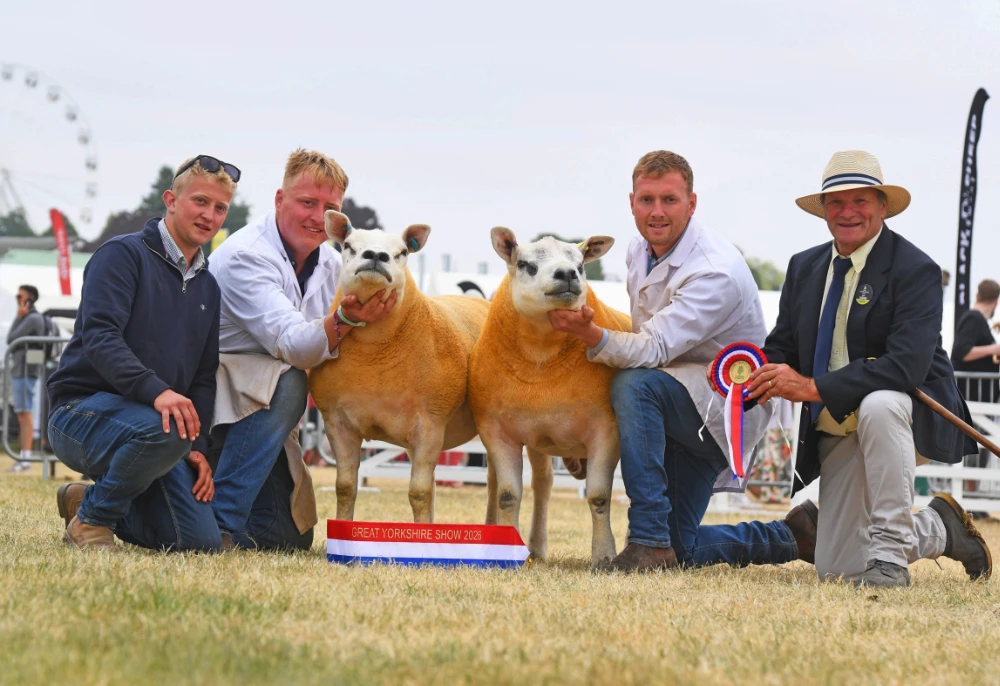 The Overall Sheep Pairs Champion was a pair of Texels belonging to Eammon Vaughan from Staffordshire.
