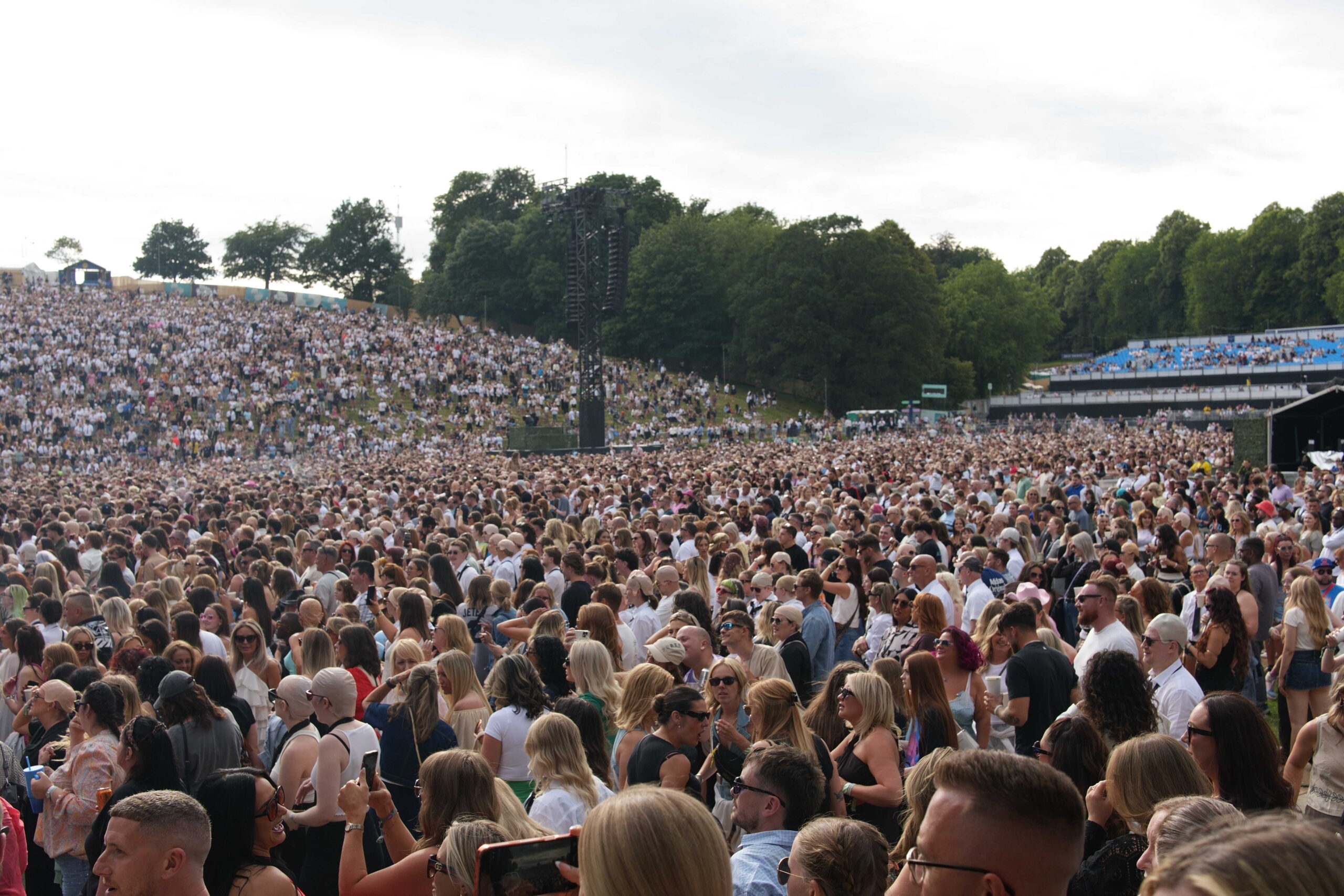 pitbull leeds roundhay